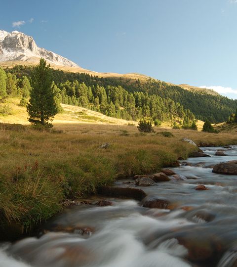 Ein Fluss fliesst durch unberührte Natur mit einem Berg im Hintergrund im Berner Oberland.