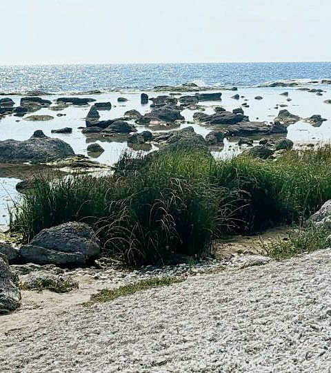 Strand mit Steinen