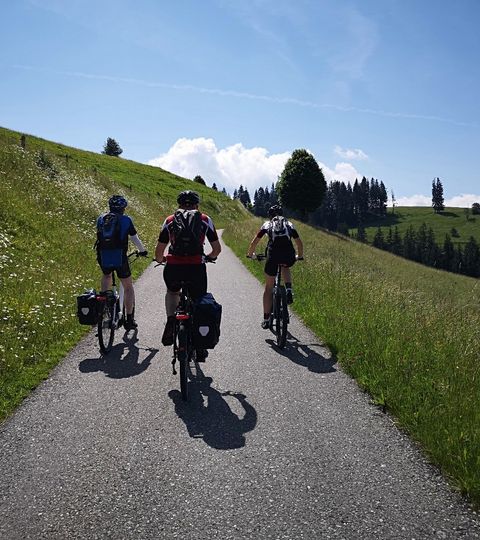 Drei Biker fahren den Berg hinauf mit Aussicht auf einen strahlend blauen Himmel.