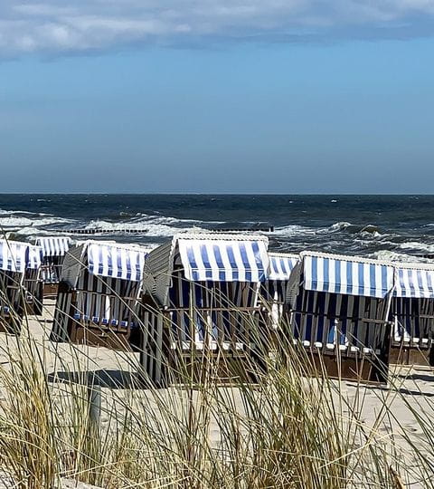Mehrere Strandkörbe stehen am Meer in Usedom. 