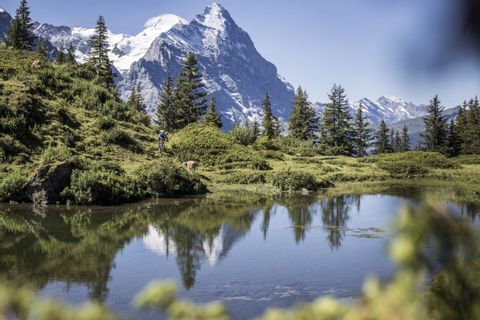 A small mountain lake lies in the middle of a high mountain landscape in Grindelwald in the Bernese Oberland.