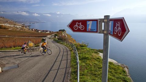 Signpost and Lake Geneva in the background. Rhone route. Cycling holidays with Eurotrek.