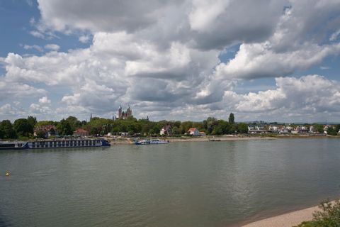 Blick über den Rhein und auf den Speyerer Dom