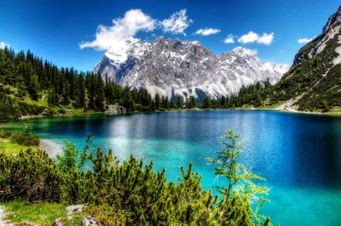 Ein Bergpanorama wie aus dem Bilderbuch. Der Berg unter blauem Himmel und dem Seebensee mit faszinierend blauem Wasser. Rundherum sind Tannenwälder.