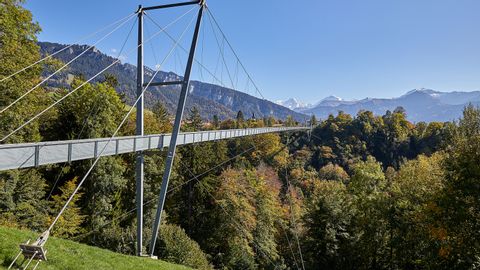 Stahlbrücke in der Natur