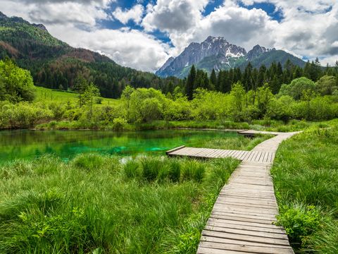 Ein Weg aus Holzlatten neben einem grünen See, vor einer Berglandschaft in slowenien.