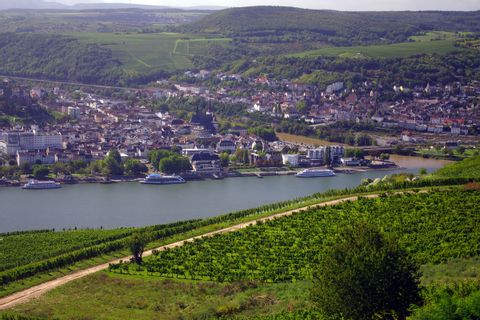 Aussicht über Rüdesheim und Bingen
