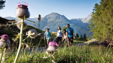 Vier Wanderer wandern auf dem Jakobsweg in der Schweiz.