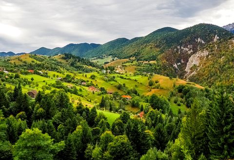 Hinter einem Tannenwald hat es eine Berglandschaft in den verschiedensten Grüntönen und vereinzelten Häusern und Bauernhöfen.