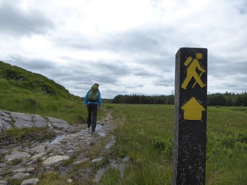 Wanderer auf einem steinigen Wanderweg. Irlands Western Way. Wanderferien mit Eurotrek.