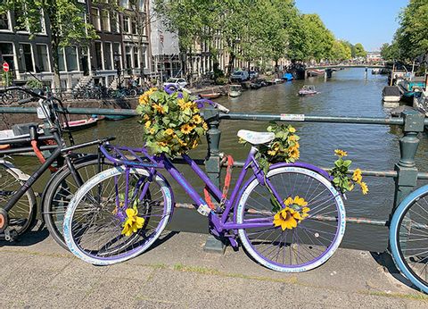 Blumenvelo in Amsterdam