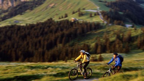 Zwei Mountainbiker schnell unterwegs, so dass die Natur im Hintergrund verschwommen erscheint