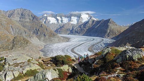 Vue sur le glacier d'Aletsch et la langue glaciaire 