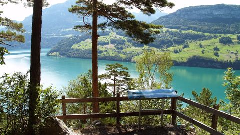 Aussichtspunkt auf den Vierwaldstättersee mit Sicht auf den türkisfarbenen See und die Wiesenlandschaft.