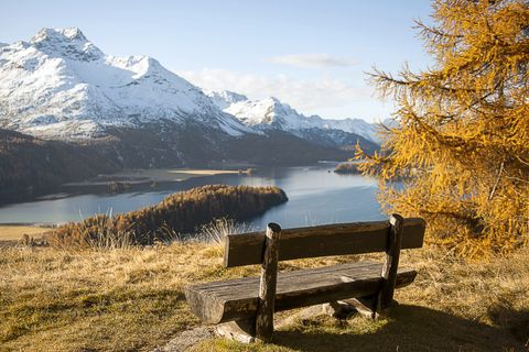 Ein Holzbänkli am Ufer des Silsersees, dass zu eine Pause einlädt, um den herrlichen Blick auf den Schneebedeckten Berg zu geniessen.