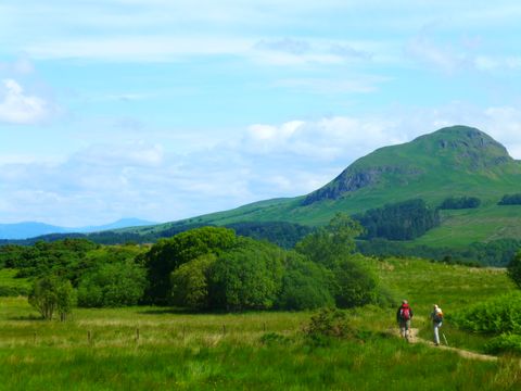 Grüne Hügellandschaft in West-Highland