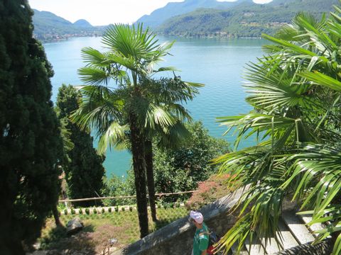 Blick auf den Lago di Lugano mit Palmen davor.