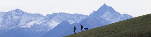 Zwei Wanderer mit Hund auf Wanderung in den Bergen