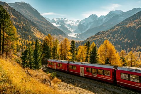 Zug im Herbst Bernina
