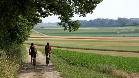 Two cyclists on the Redwege between the edge of the forest and fields.