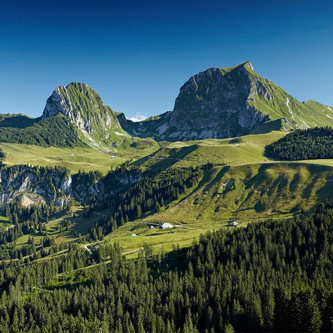 Sicht auf Berge und einen Wald in Gantrisch. Drei-Pärke-Tour. Wanderferien mit Eurotrek
