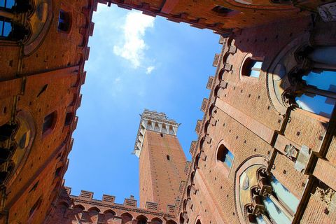 Die Dächer von Siena und dazwischen ragt der Torre del Mangia hervor. 