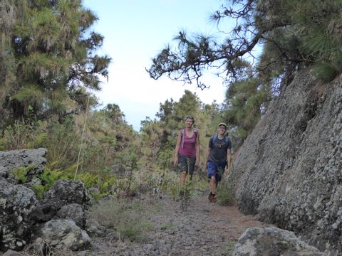 Zwei Wanderer wandern durch ruhige Natur auf Teneriffa.