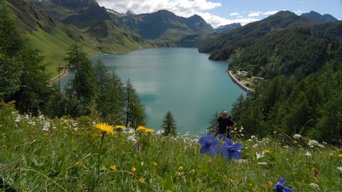 Dr Blick von einer blühenden Wiese auf den See und die Berge am Lago Ritom.