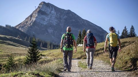 Drei Wanderer auf den Wanderwegen in Fribourg mit Blick auf die Berge.