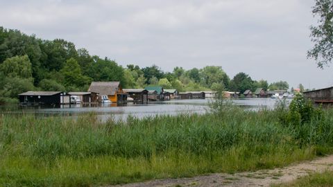Viele Häuser am Fluss mit eigenen Booten umgeben von Wald in Mecklenburg.