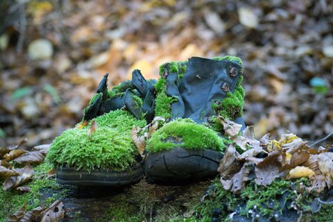 Alte Schuhe im Wald, die fast komplet mit Moos überwachsen sind.