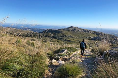 Wanderer auf den Wegen Mallorcas