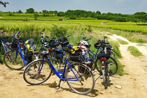 Landschaft mit Fahrräder