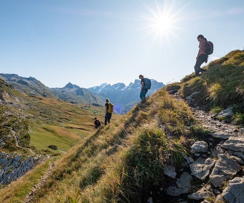 Vier Wanderer beim Abstieg von der steilen Alpwiese.