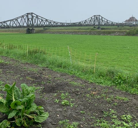 Sicht auf ein verregnetes Feld mit Brücke im Hintergrund