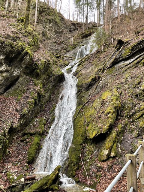 Blick auf einen sehr hohen Wasserfall der Thur