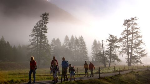 Familienwanderung im nebeligen Wald von Albula Bernina