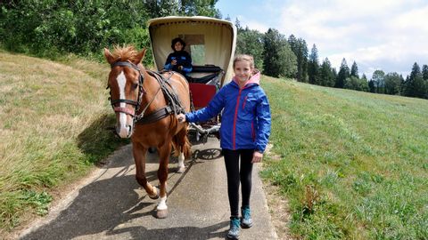 Un enfant conduit le cheval d'une charrette bâchée qui traverse un beau paysage de prairies dans le Jura avec un passager.