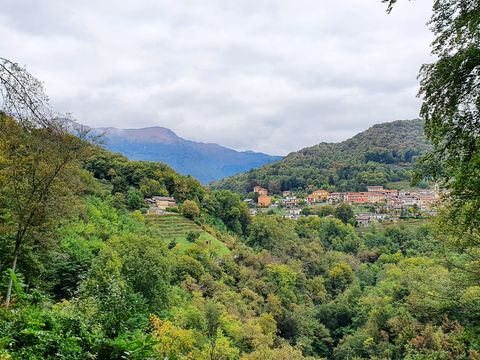 Ein kleines Dorf liegt inmitten einer dichten Waldlandschaft in den Bergen.