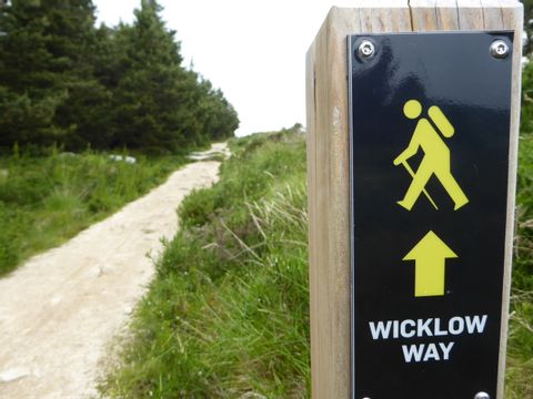 Pfosten am Wegesrand der mit einem gelben Männchen und einem Pfeil den Wicklow-Way anzeigt.