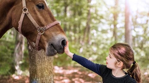 Une fillette caresse un cheval dans une forêt.