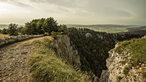 Vue sur une gorge rocheuse avec une forêt. Chemin des crêtes du Jura. Vacances de randonnée avec Eurotrek.