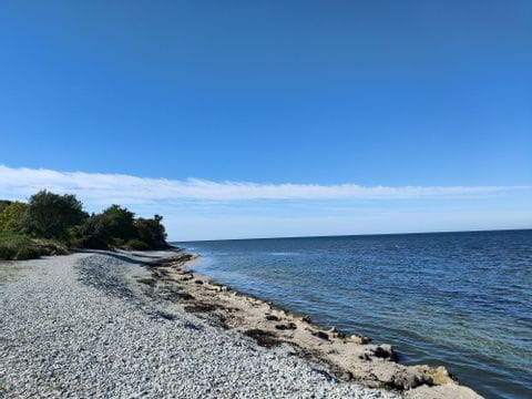 Ein Steinstrand auf Gotland. 