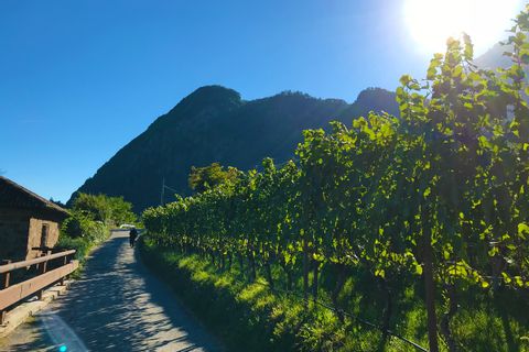 Enjoyable hike along vineyards with views of the South Tyrolean mountains