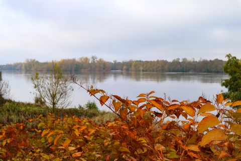Herbststimmung an der Loire
