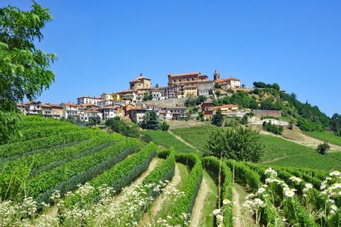 Dörfchen im Piemont mit den typischen Weinbergen.
