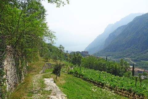 View of Lake Garda on the descent to Riva del Garda