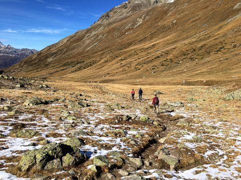 Drei Wanderer wandern durch eine Ebene im Gebirge oberhalb der Baumgrenze auf der Bernina Tour.