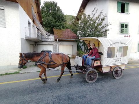 Planwagen unterwegs in Juras Strassen.