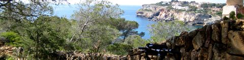 Vom Wald aus fotografiert sieht man die Bucht von Mallorca.